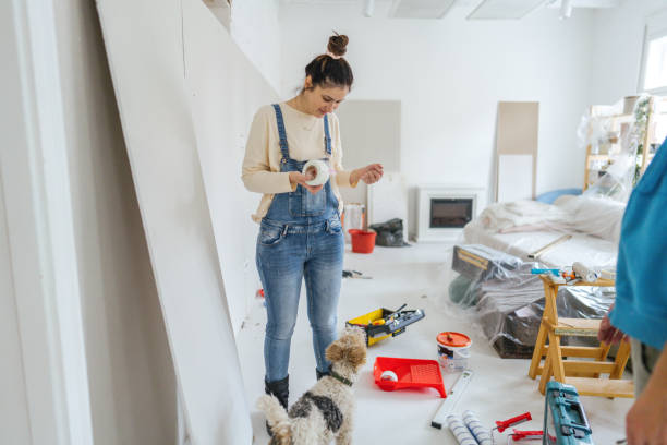 Best Drywall Patching  in Kingsport, TN